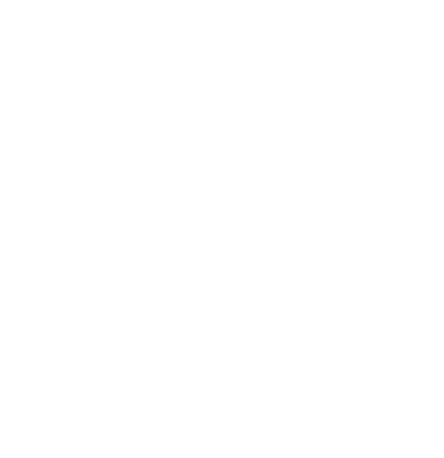 Blinkchain Portal
